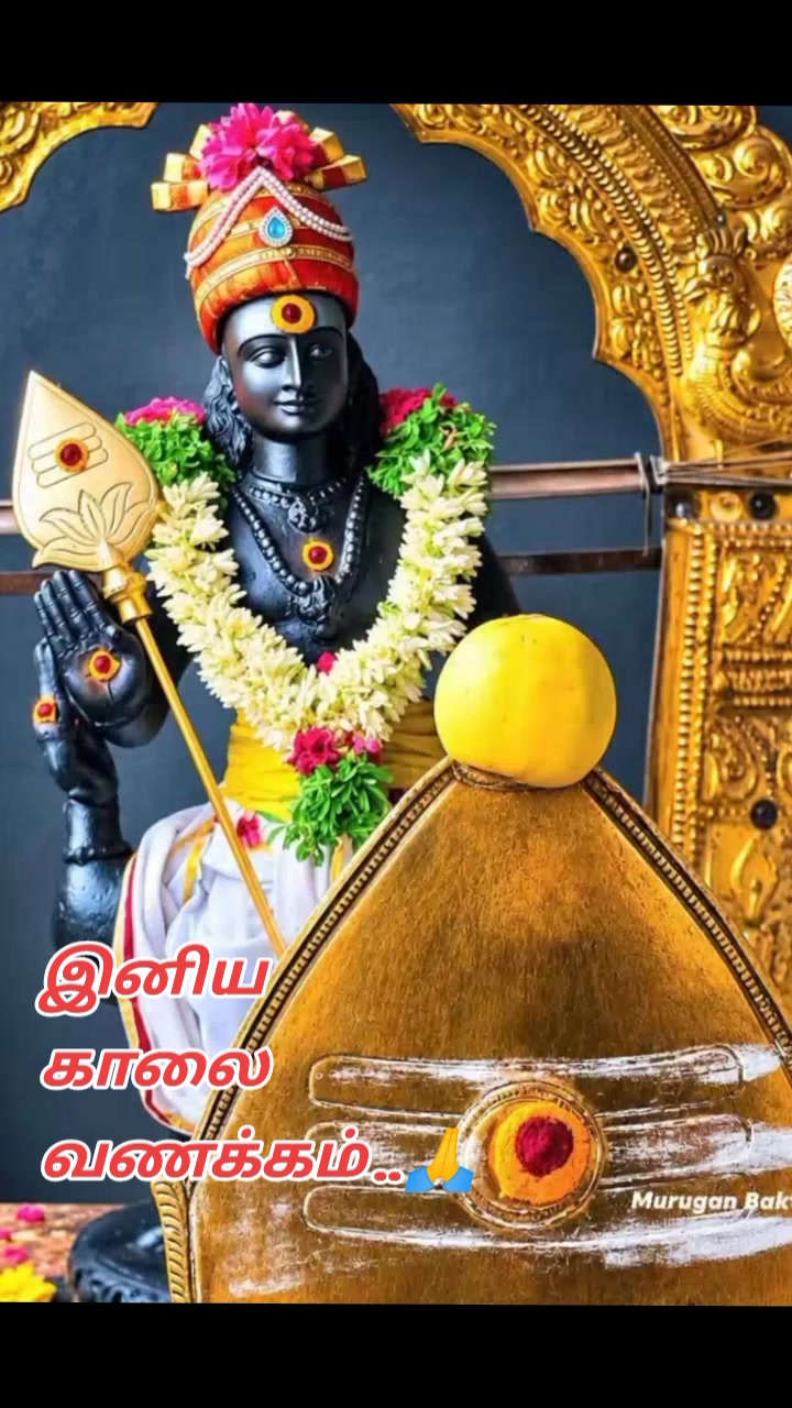 @🌹🙏SK󾓫🙏🌹