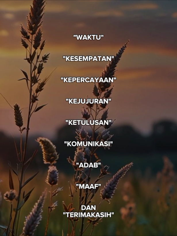 @HIJRAH OF STORY