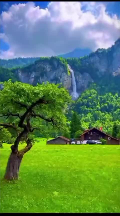 @Malik_Afaaq