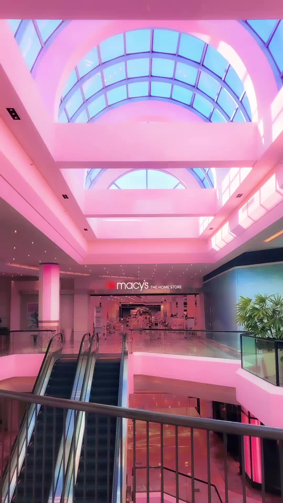 @Davin Del Amo