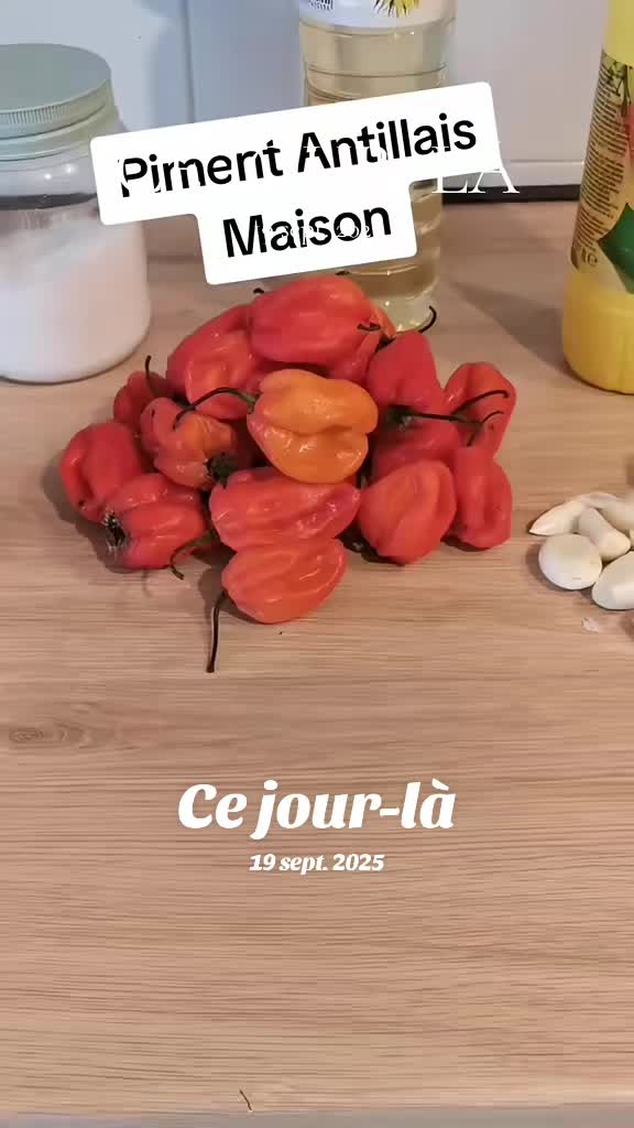 @Erick le ouf