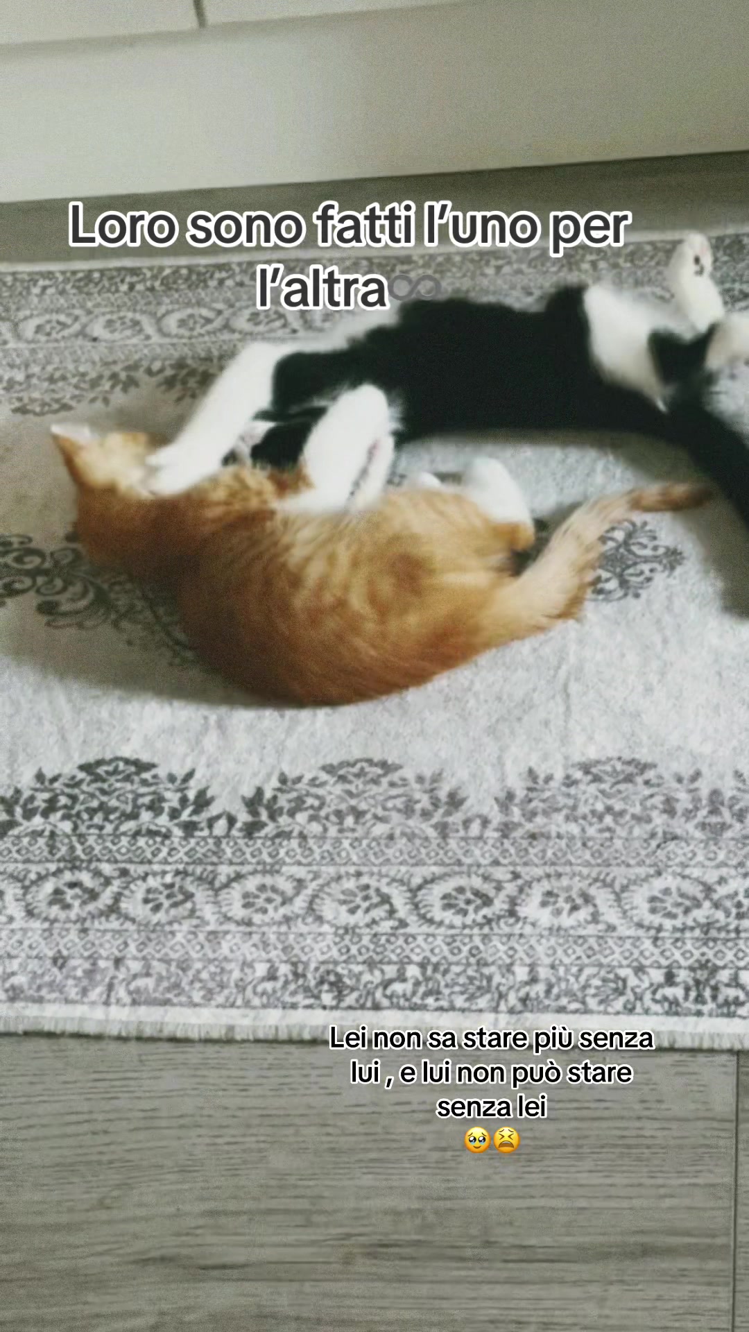@𝐄𝐥𝐢
