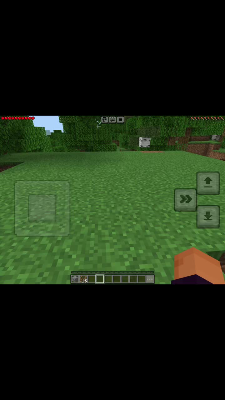 @Hunter FCC Cvvzhxhc