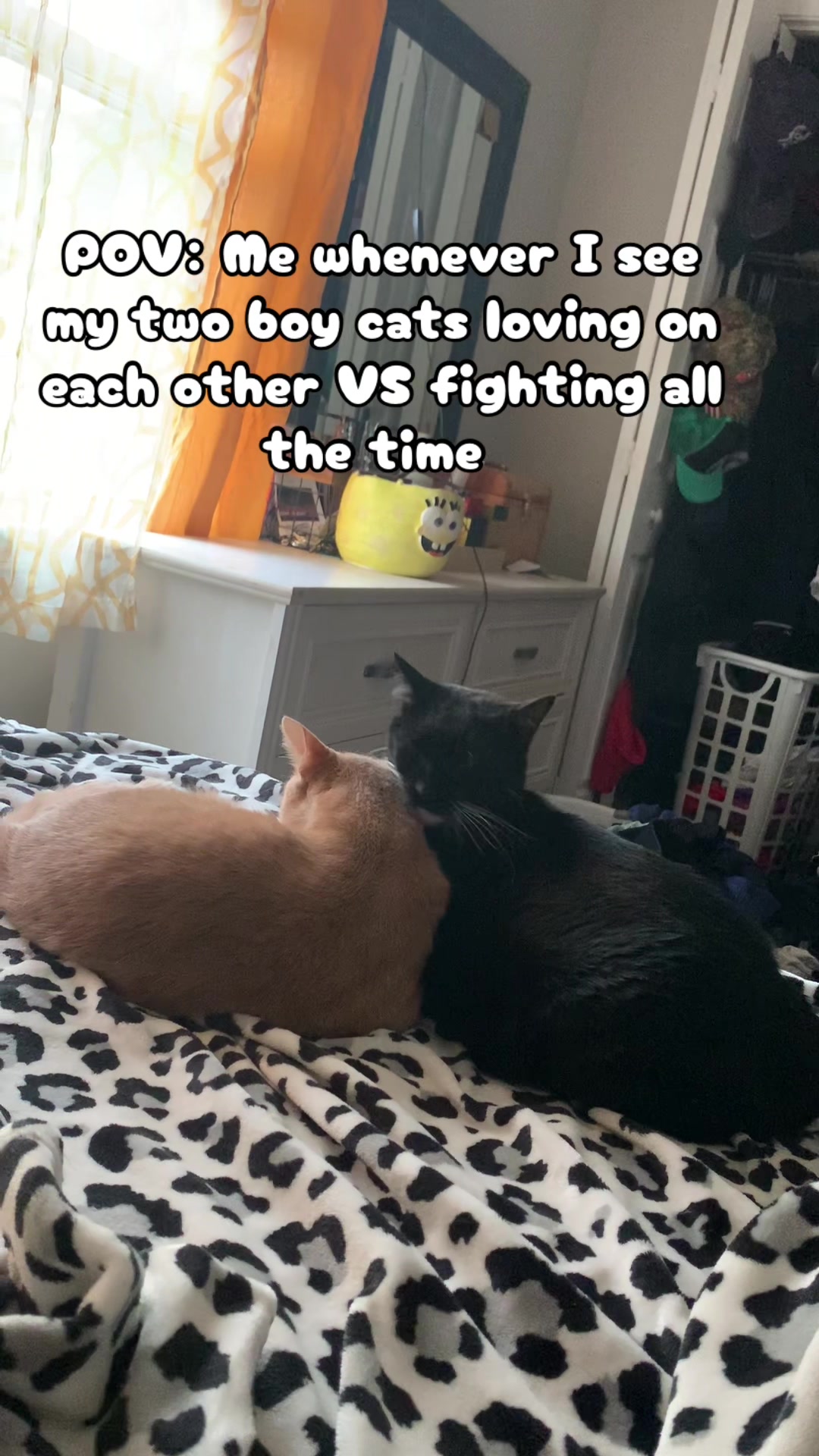 @Oreo