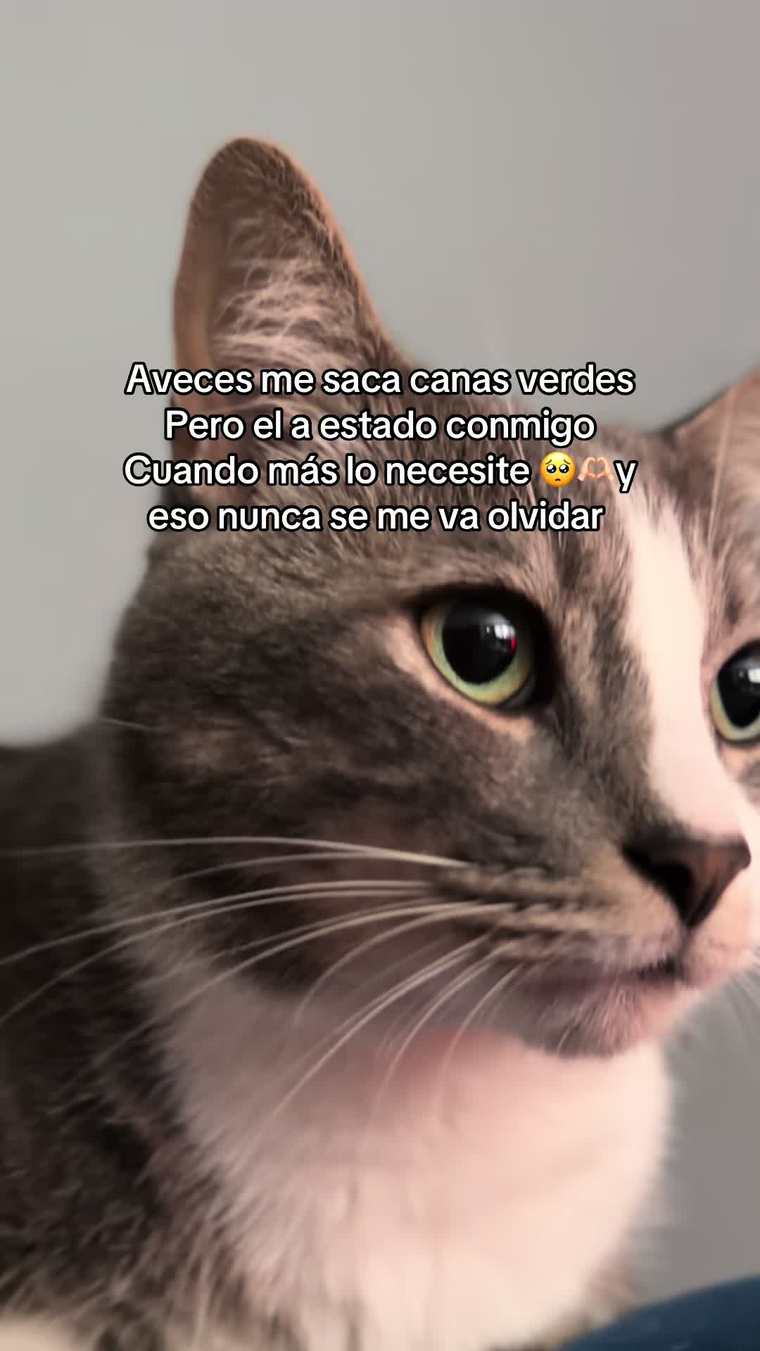@Vanessa Mendoza