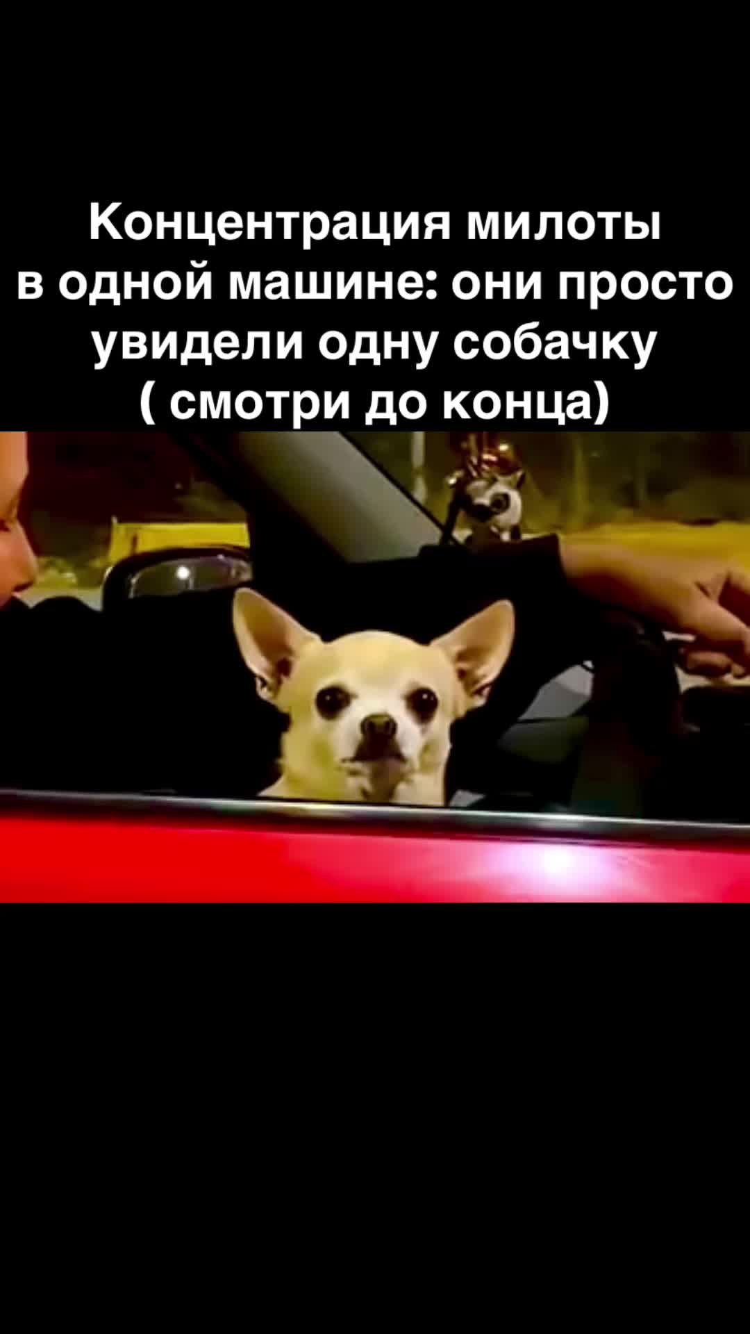 @lanamarket