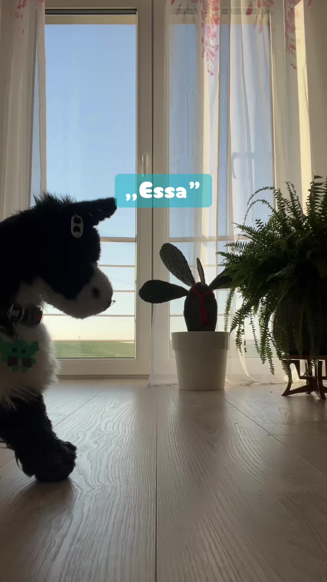 @🌱★~essa and dssa~★🌱