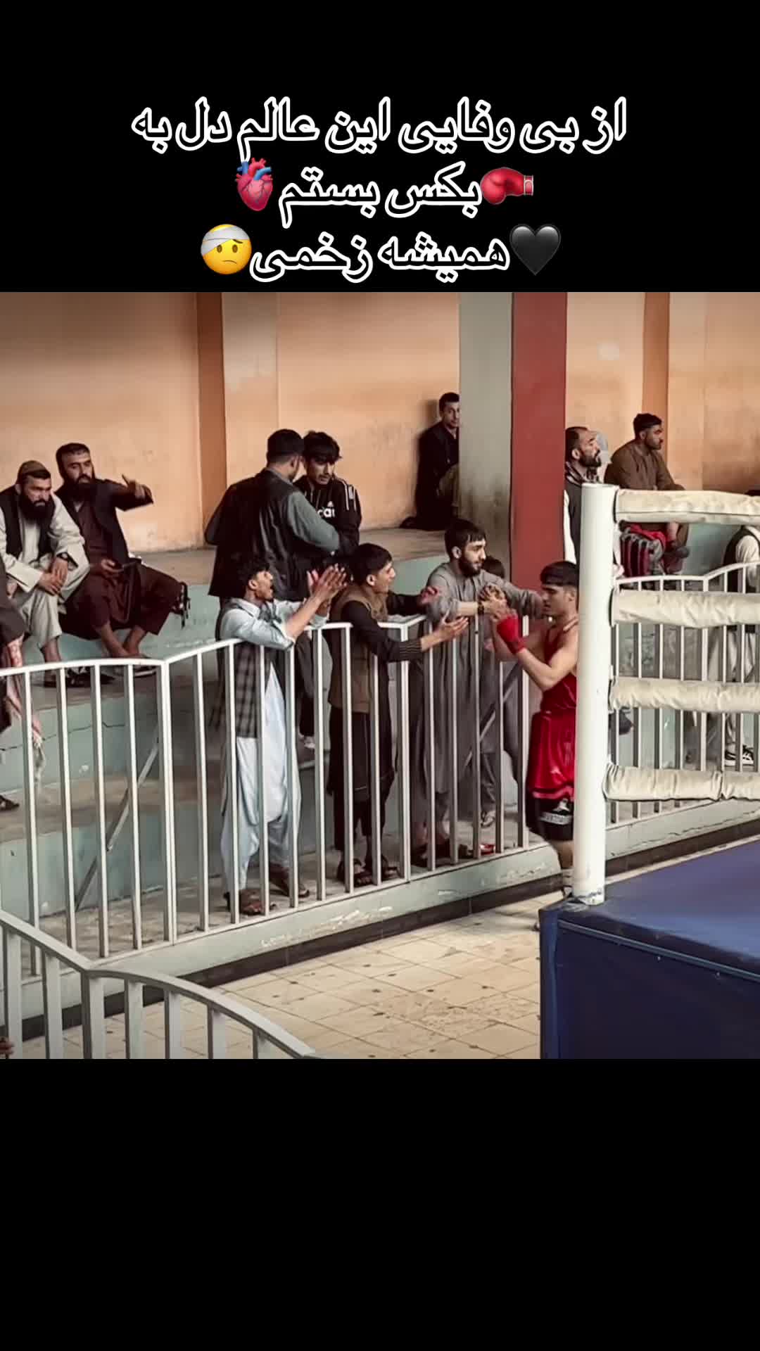 @shirshahahmadzai1