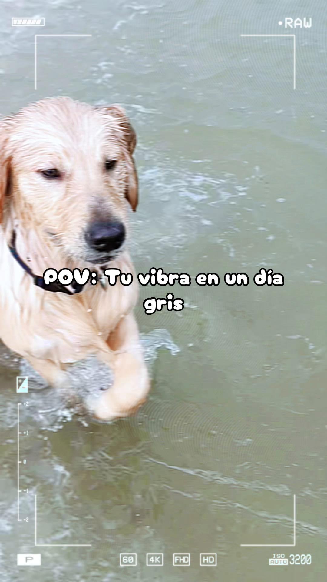 @Fraisy Poleo