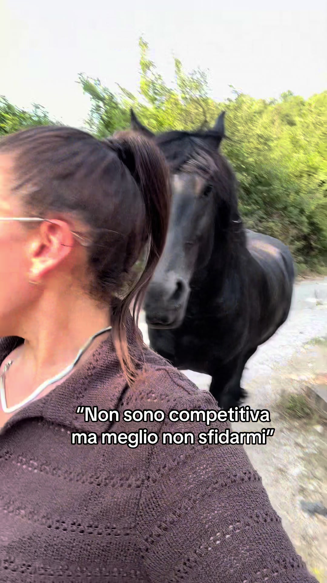@black_the_friesian