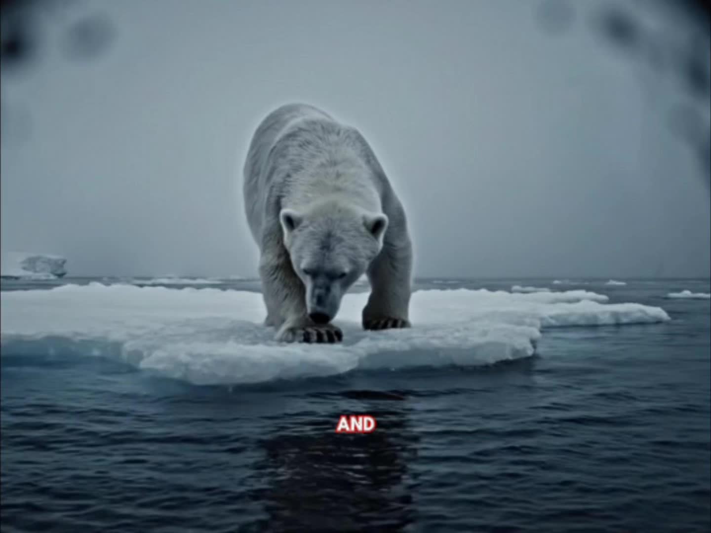@JRE AnimalRants