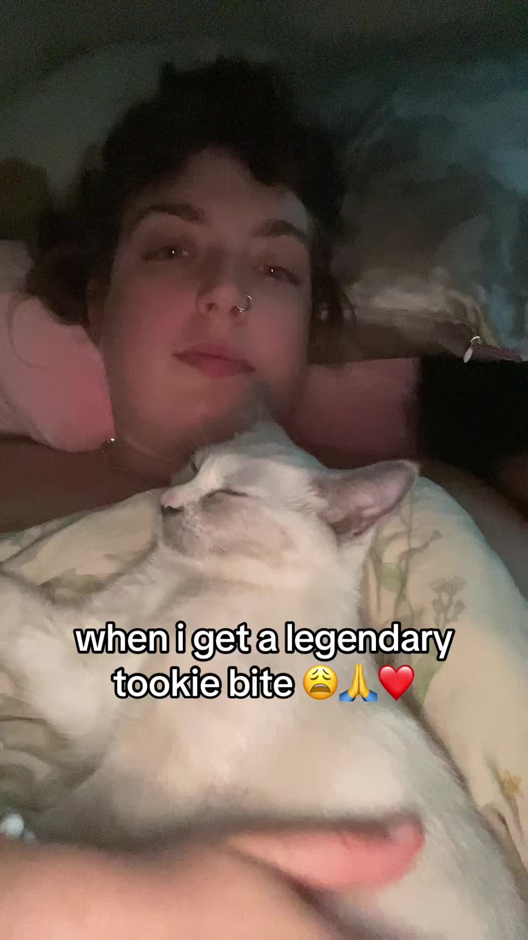 @bonktrout