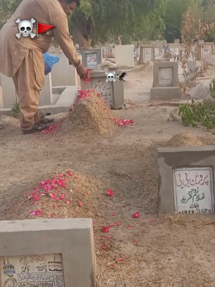 @M Hashim730