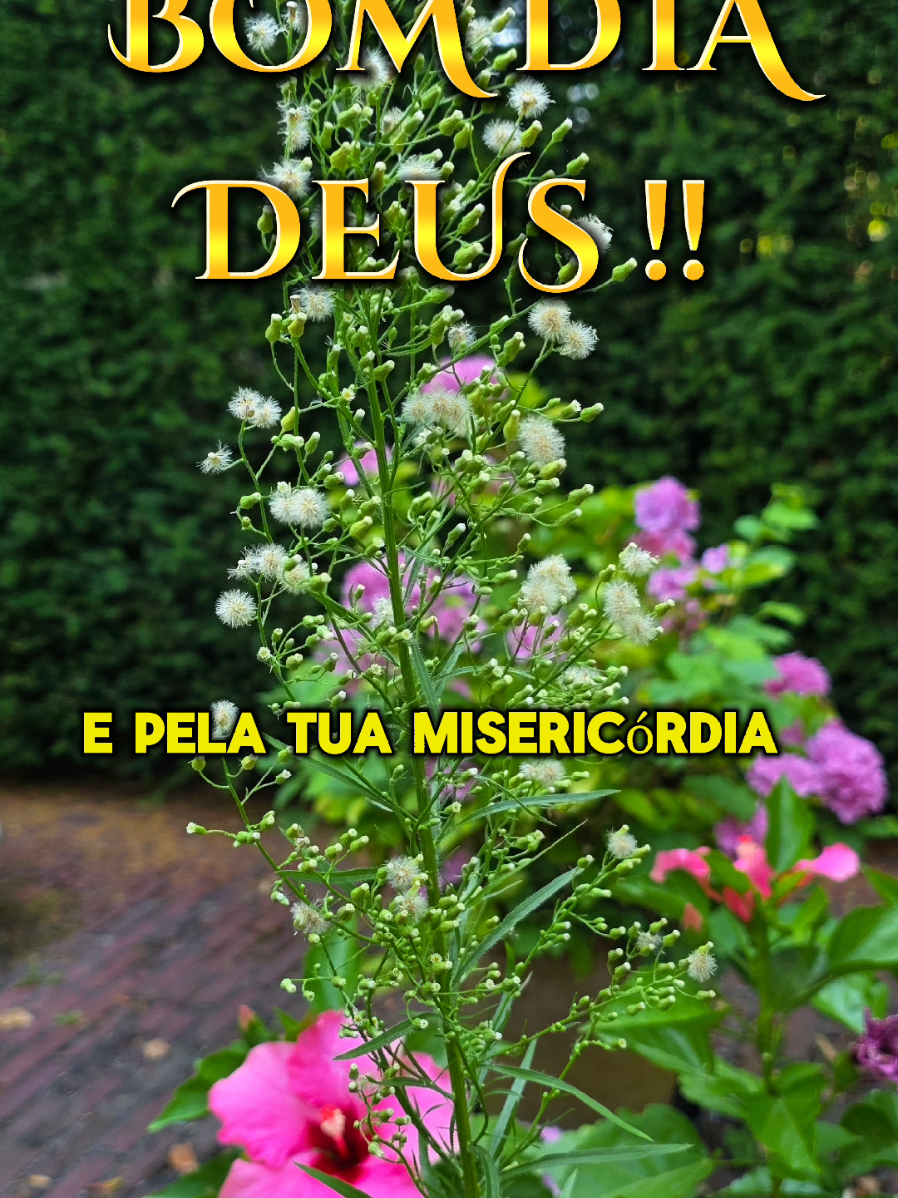 @PromessadeDeus91