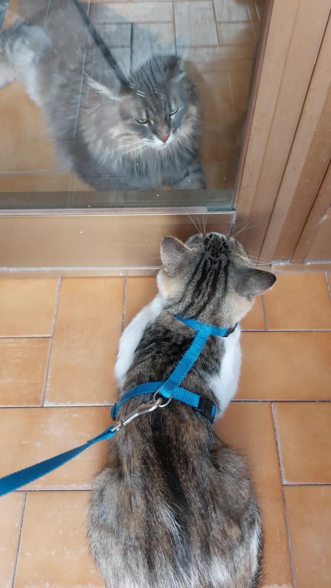@♡_Kiko e Cicciotto_♡