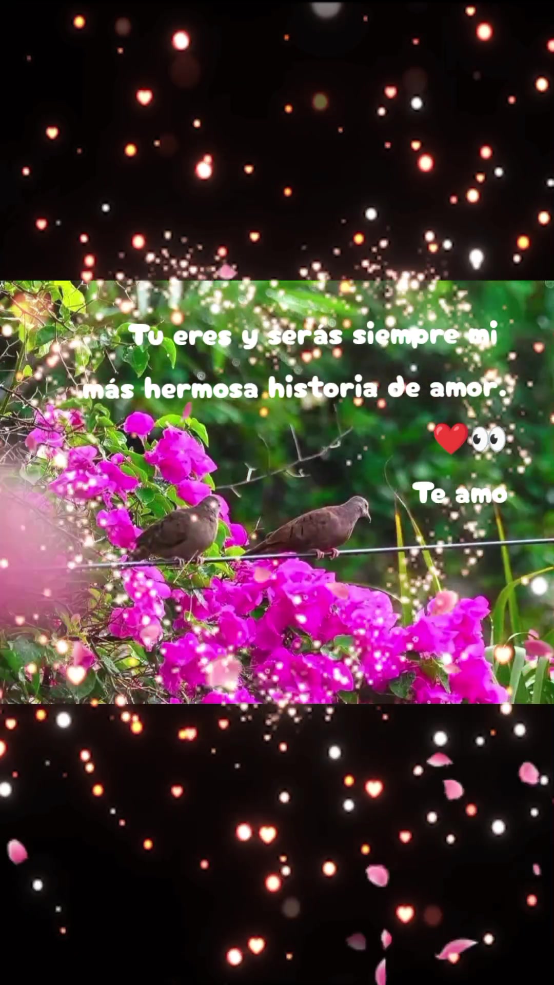 @🇹🇷✨Erika_Dub&oacute;n🇵🇹💖