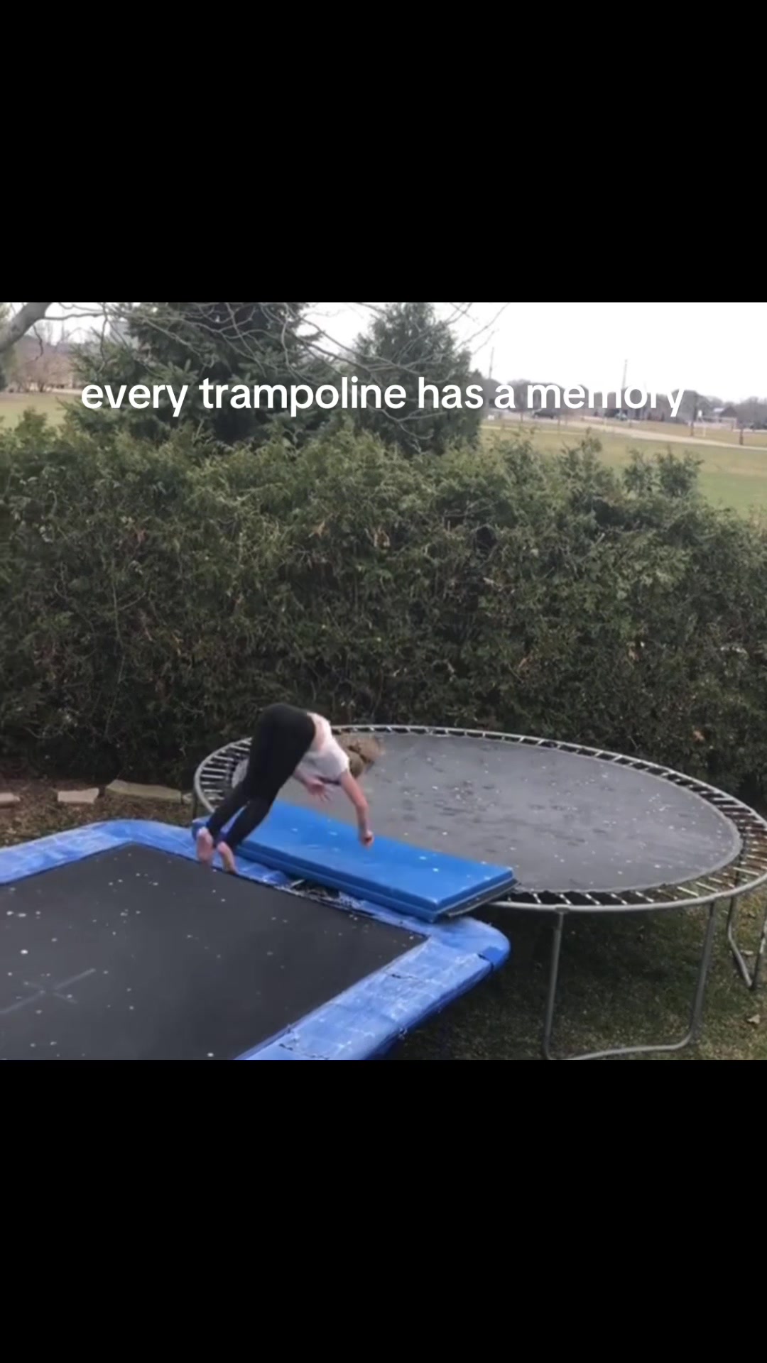 @Jaelyn