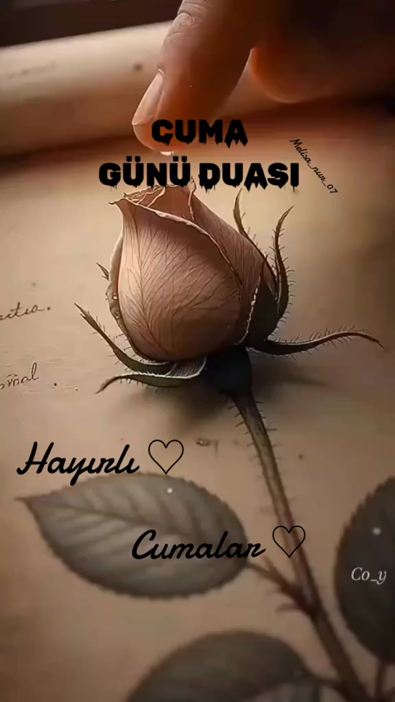 @Türkiyem