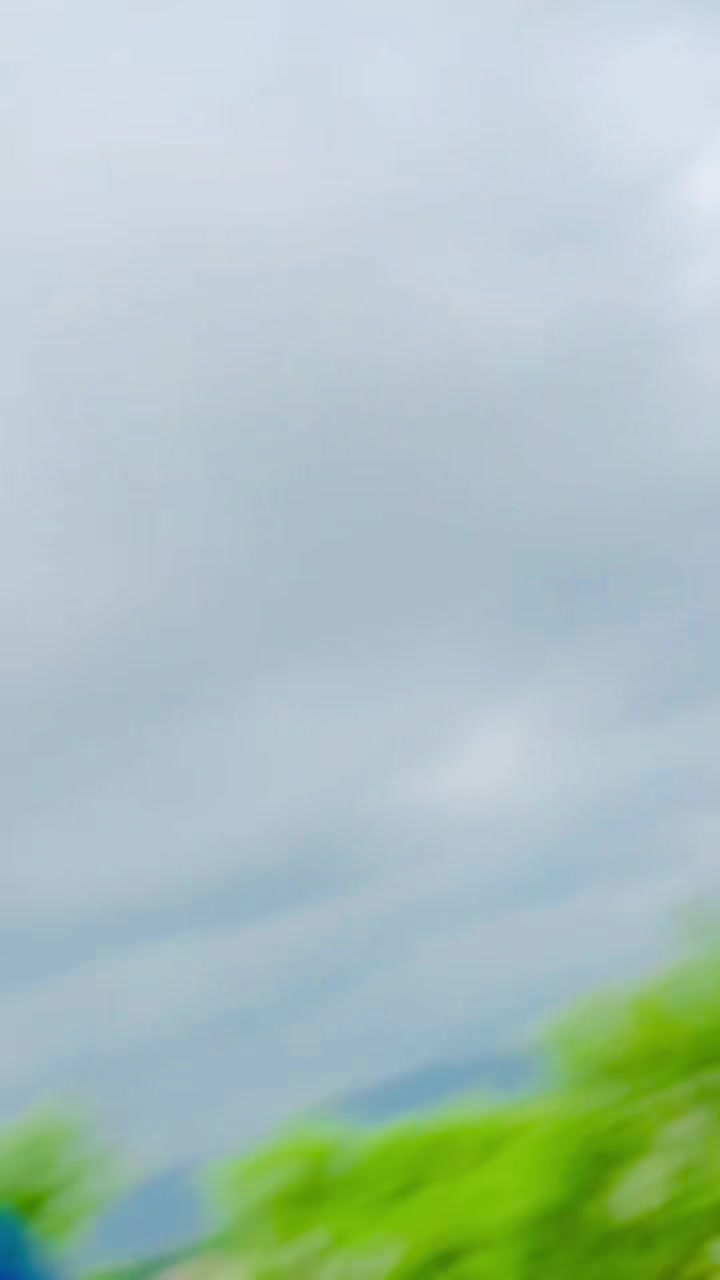 @༺デ═一 شہزادہ 一═デ༻