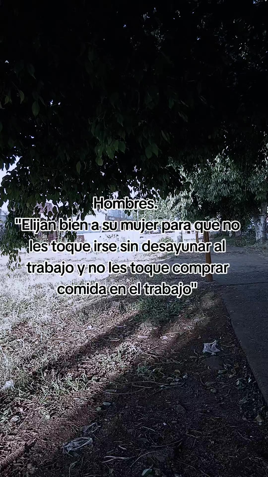 @Un Joven So&ntilde;ador Sv