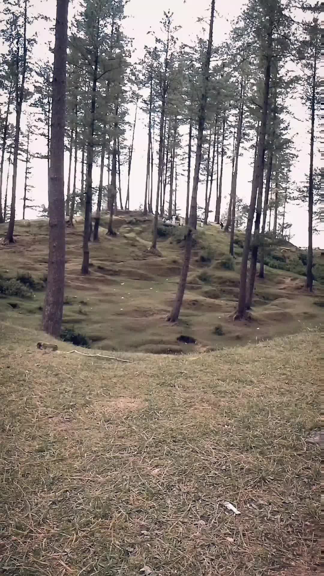 @--=S 🫶 A=---
