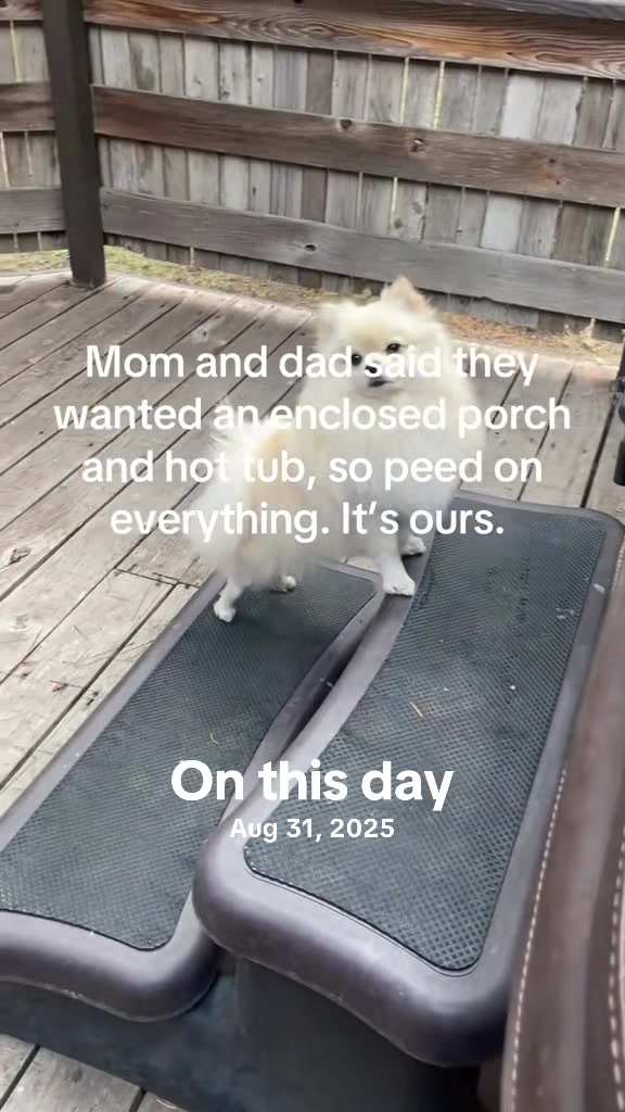 @beingmilothepom