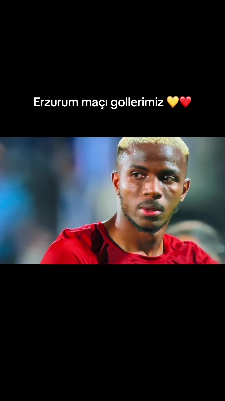 @ozalpgul
