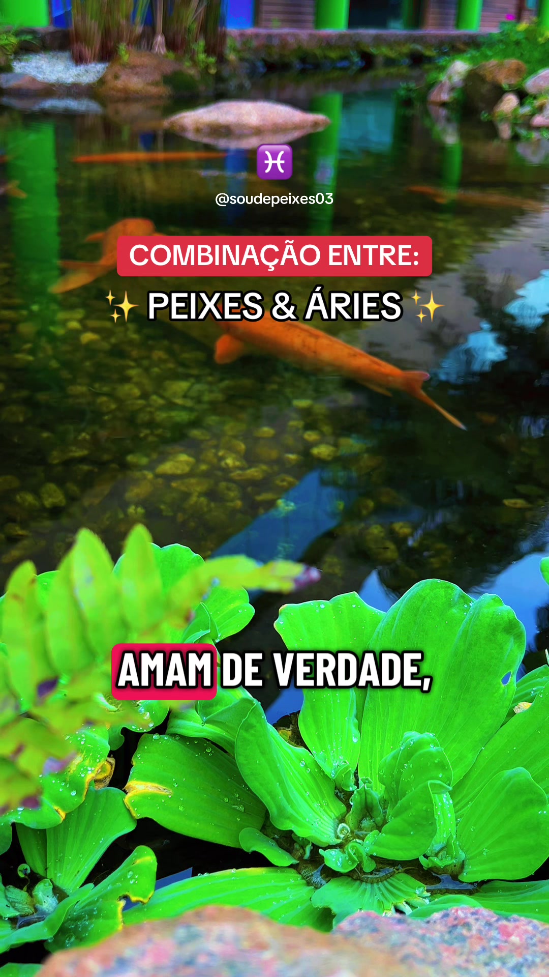 @soudepeixes