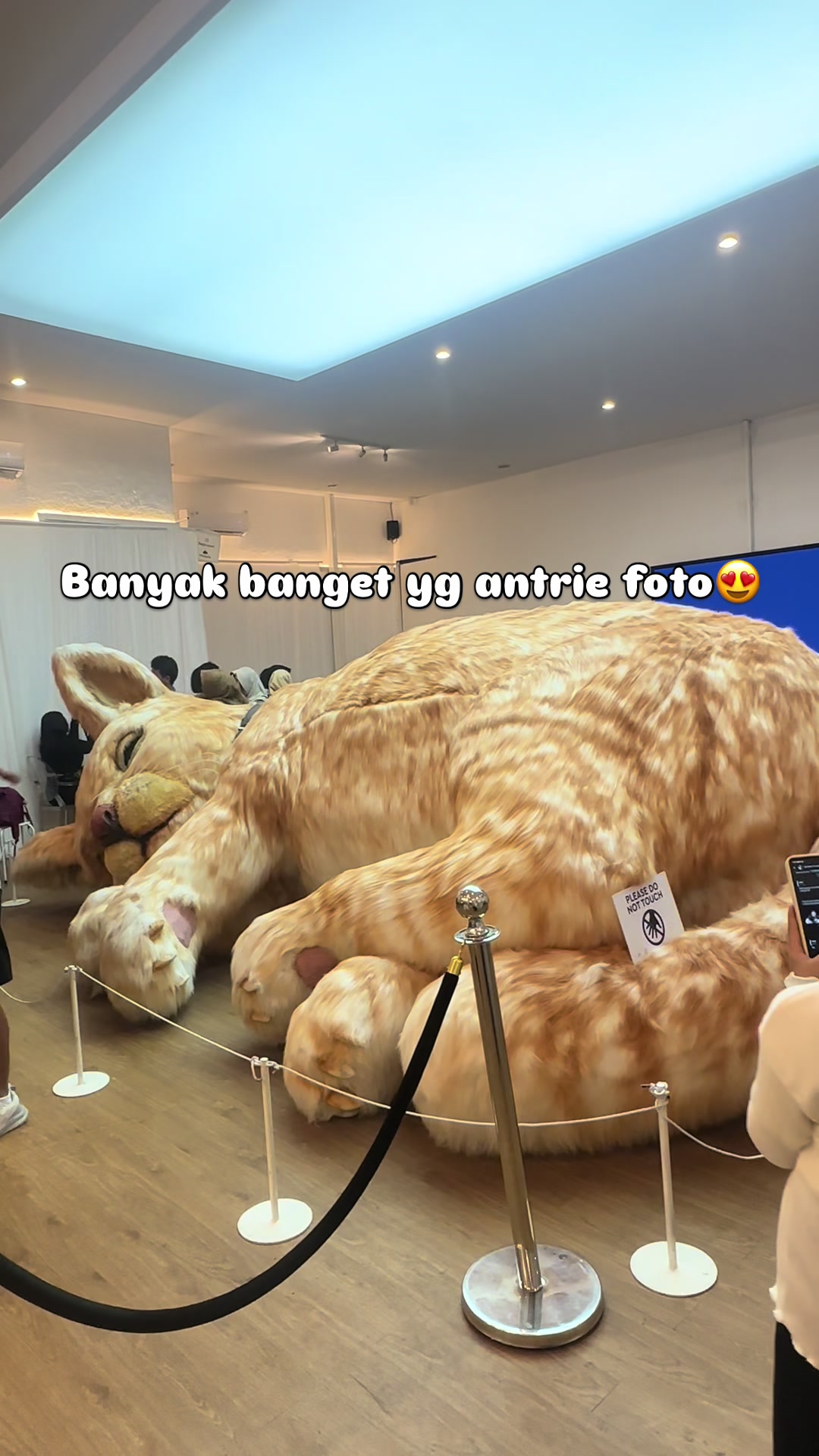 @FaenCattery