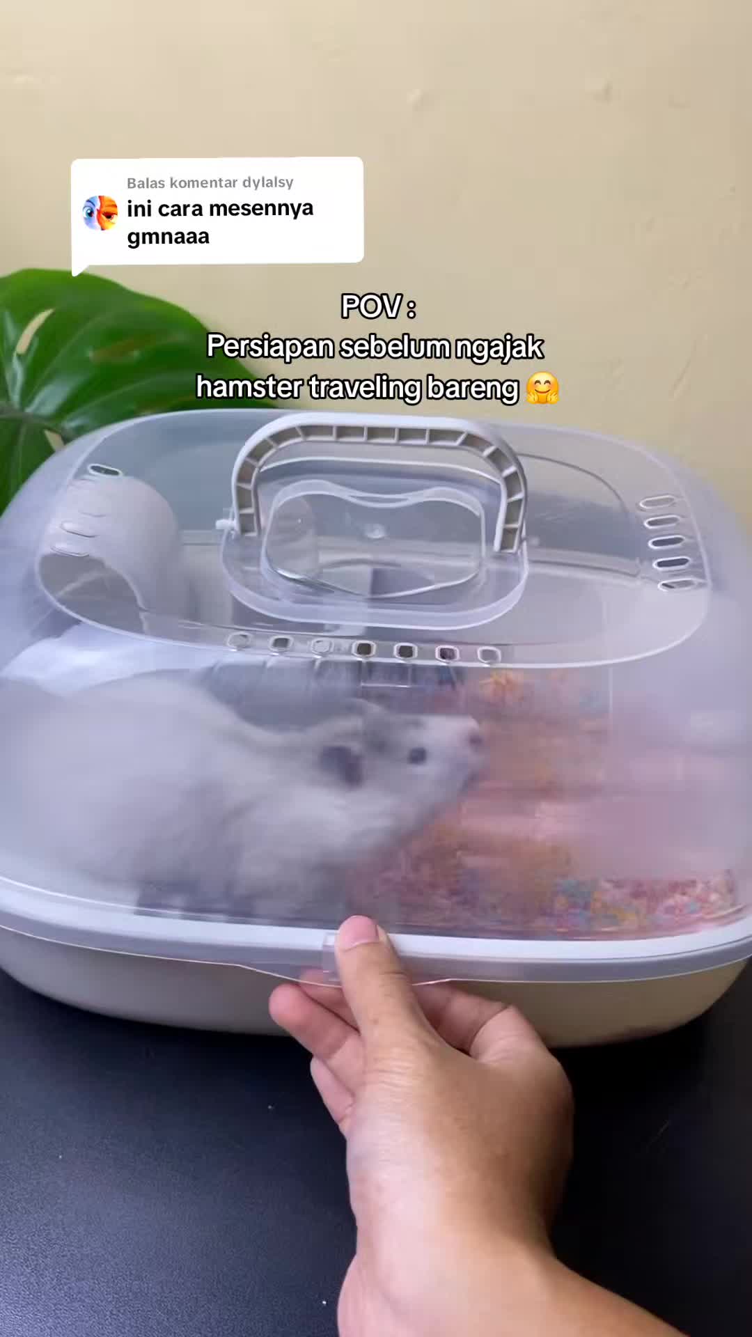 @TamaGo Pet