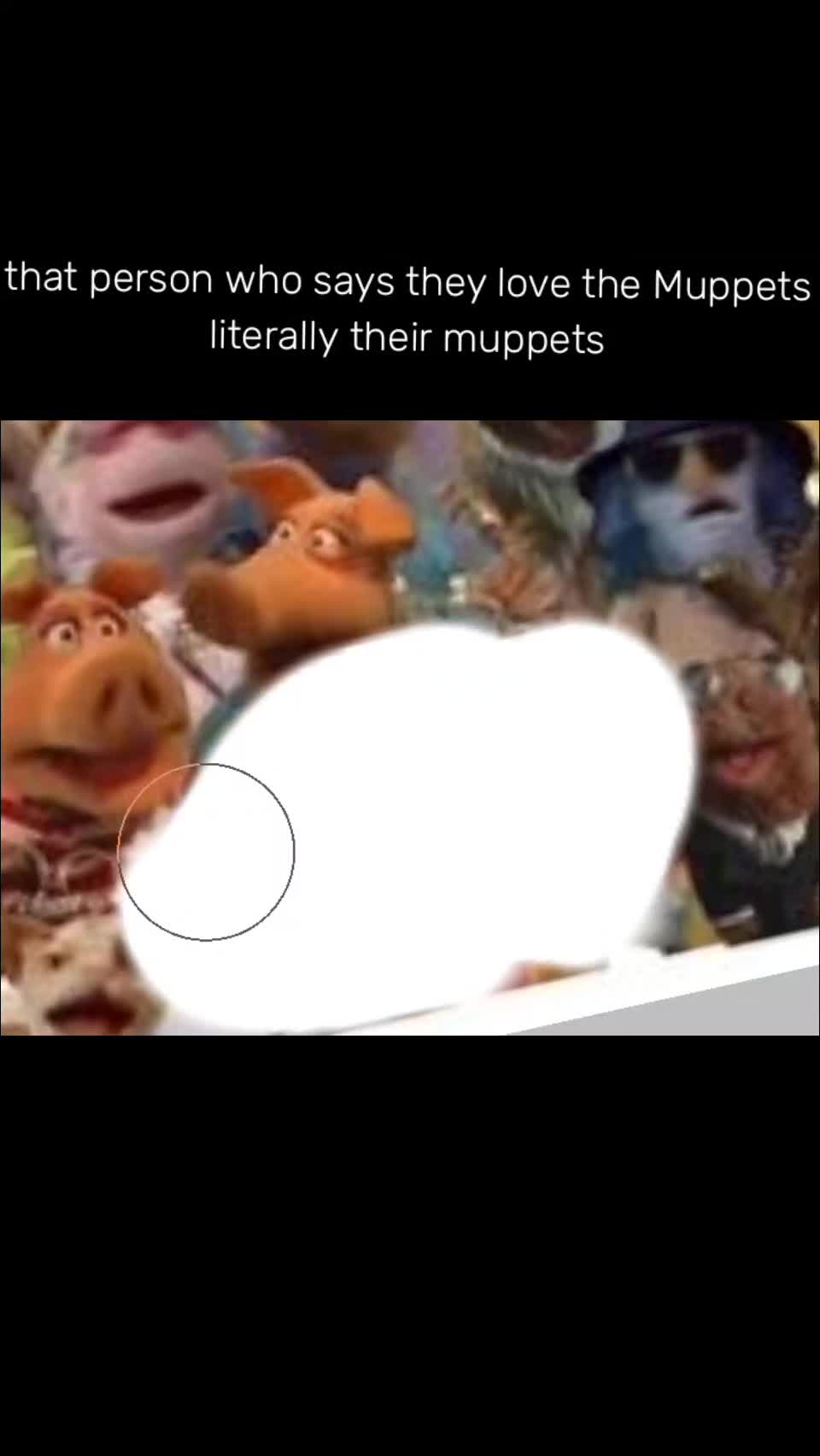 @kermit 🐸🪕