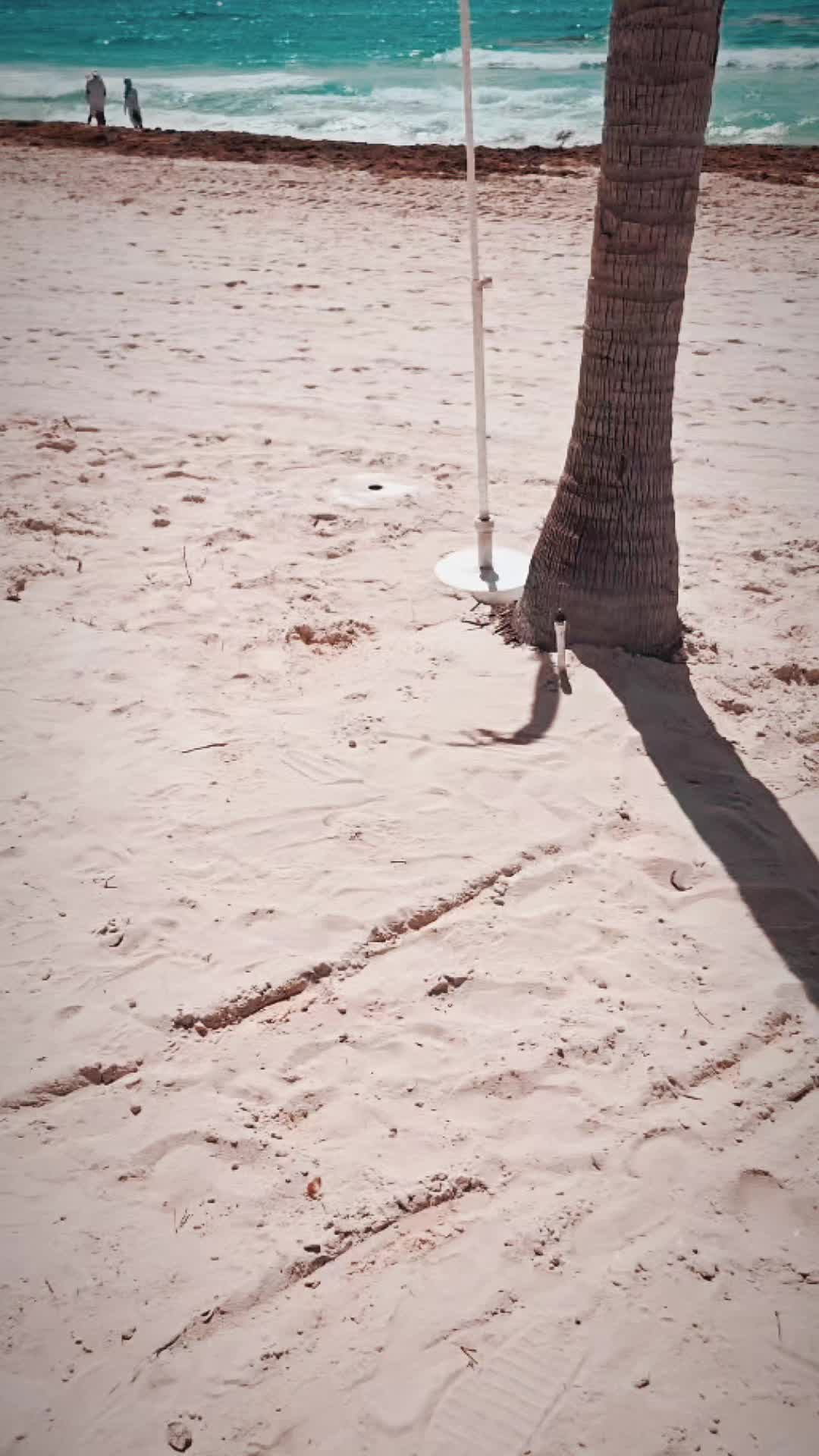 @Swordinpen