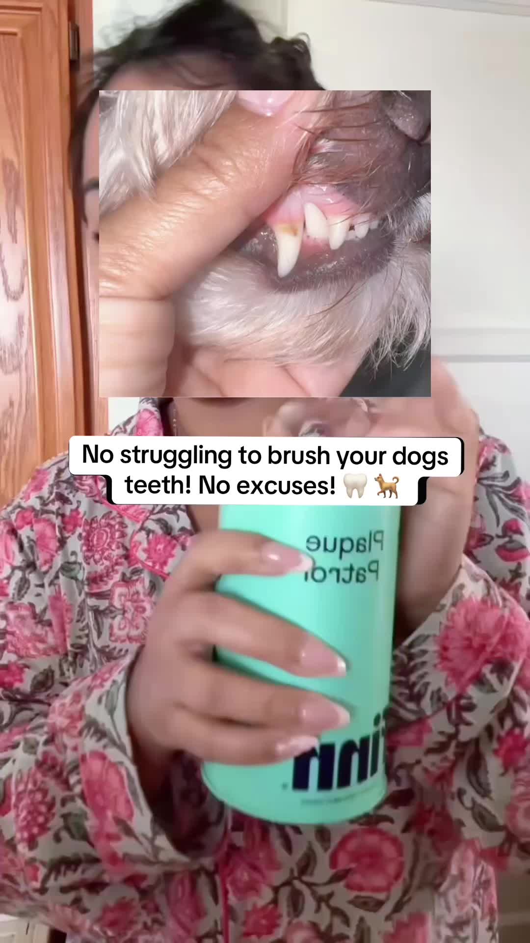 @Lina🇰🇭💚mom: 2 🐶 1 👶