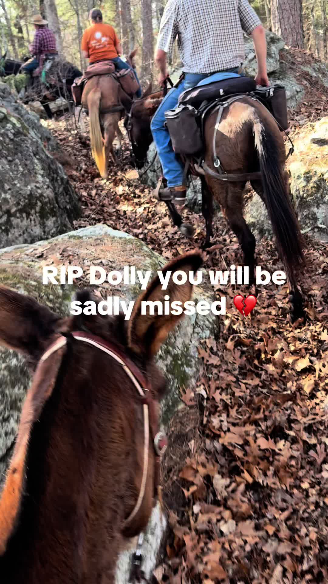 @kentuckyKuntry ❌