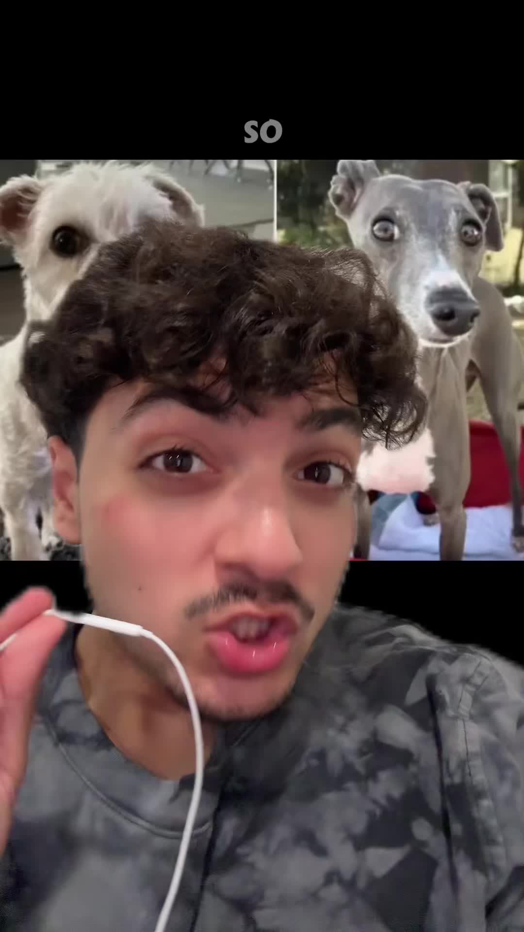 @Sbladn