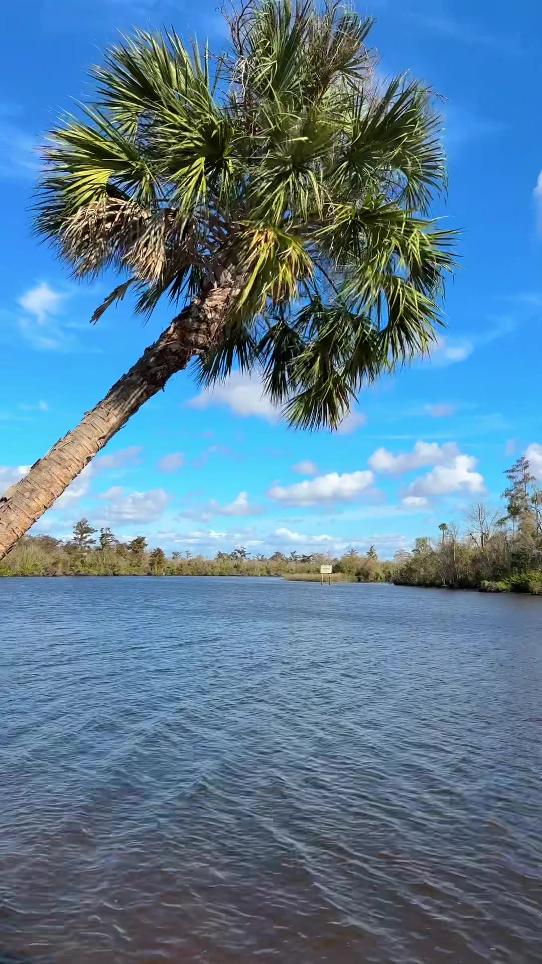 @Tasha 🌴🥥🐊🐚 🇨🇿