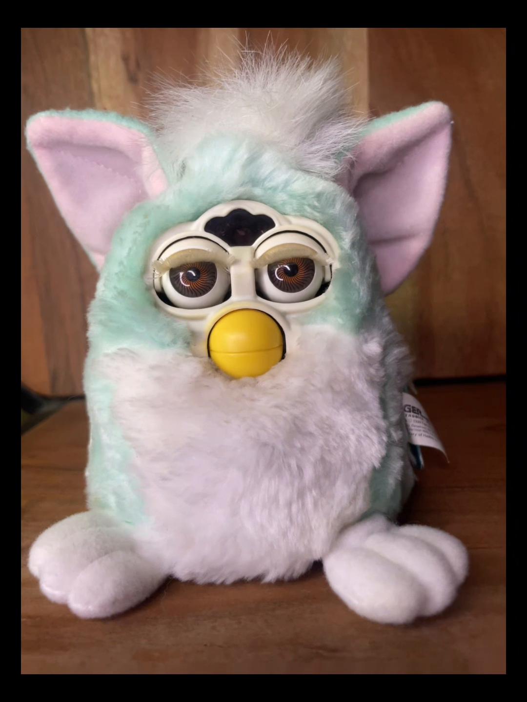 @𝕷𝖔𝖓𝖊𝖗_𝖗𝖊𝖇𝖊𝖑