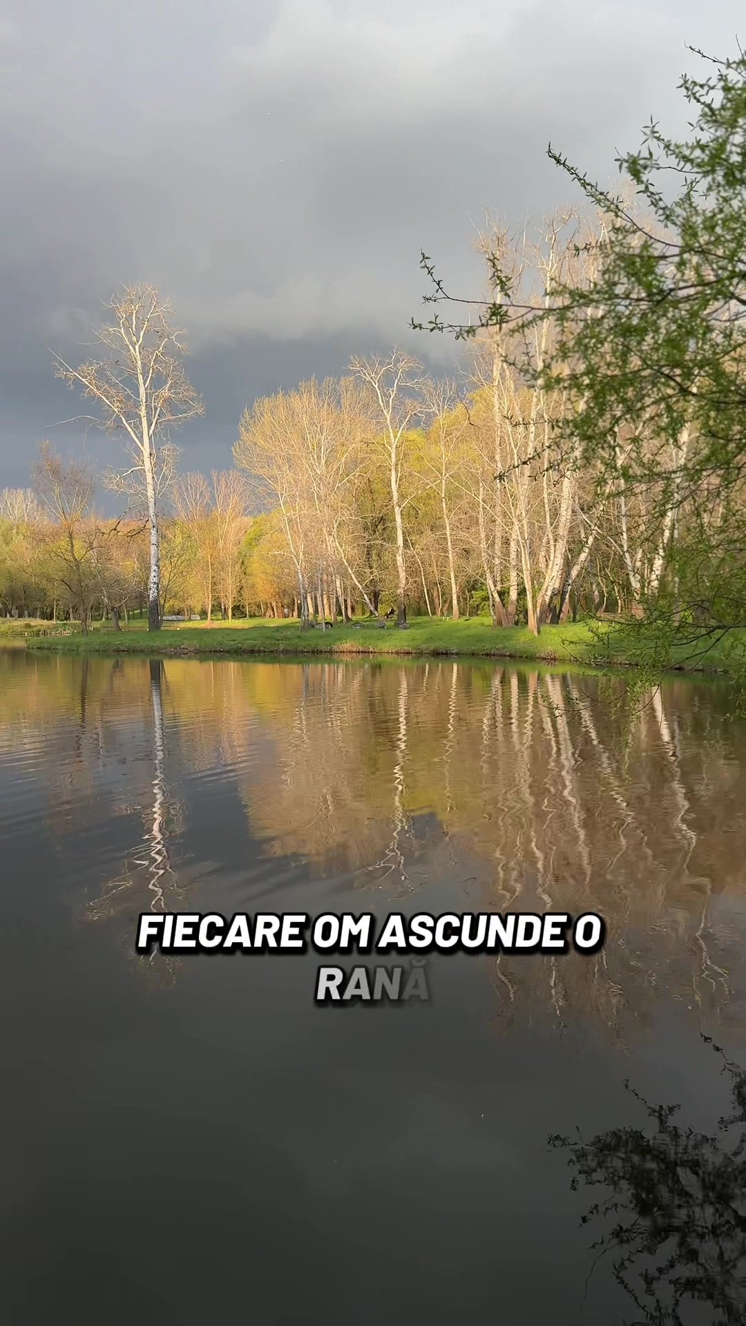 @Gânduri în cuvinte