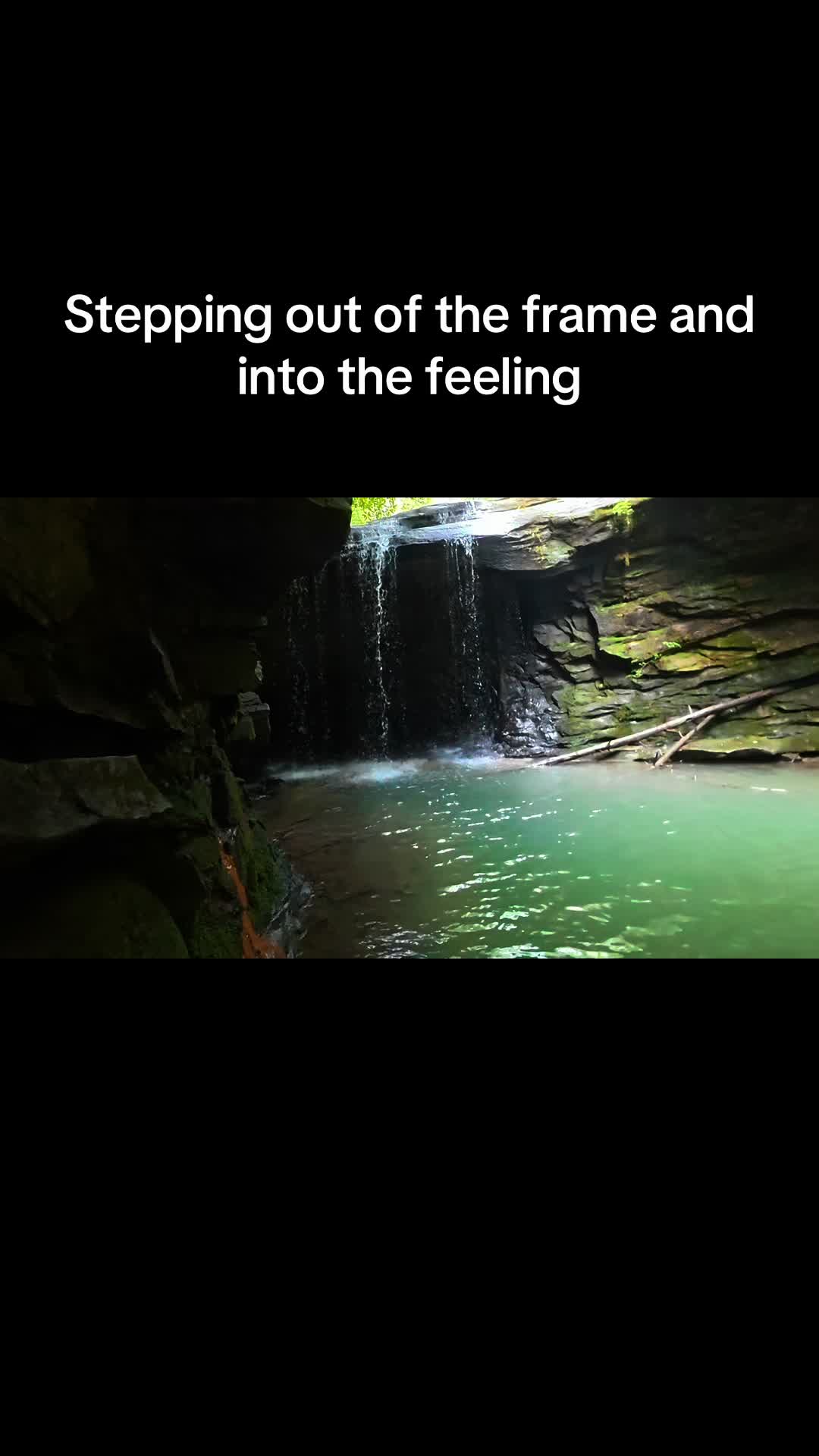 @Nature junkie