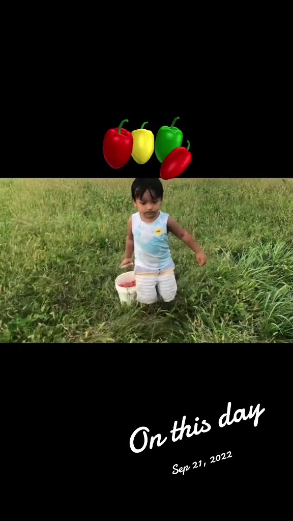 @Lalupinky