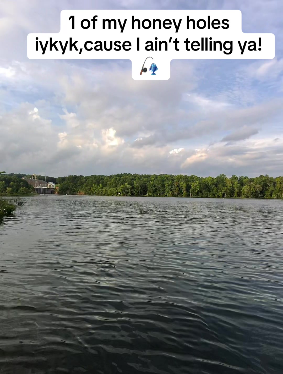 @thejerrystringershow