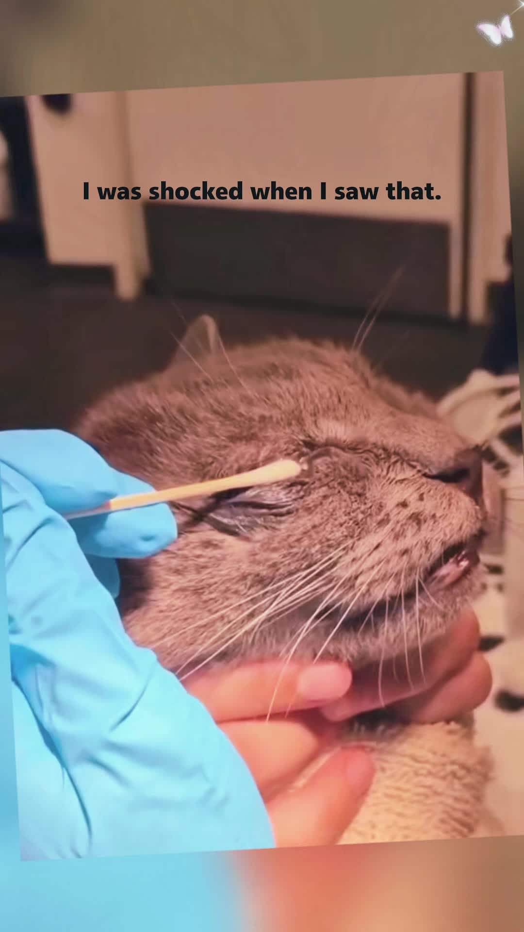 @Animal rescue tips