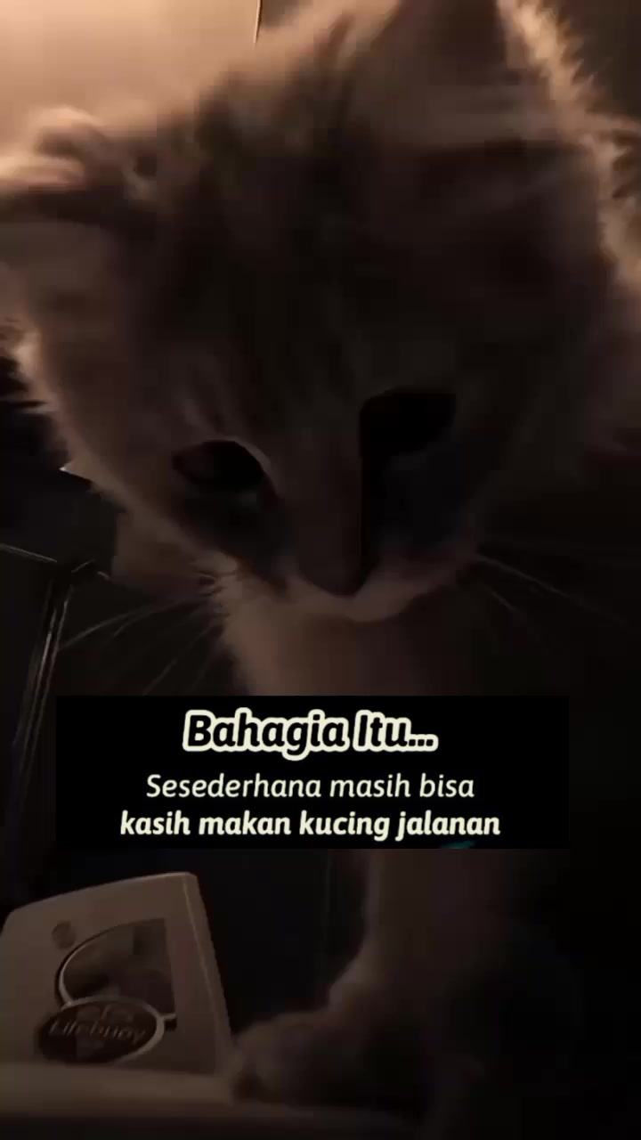 @𝐙&alpha;𝒾ℕ🐾