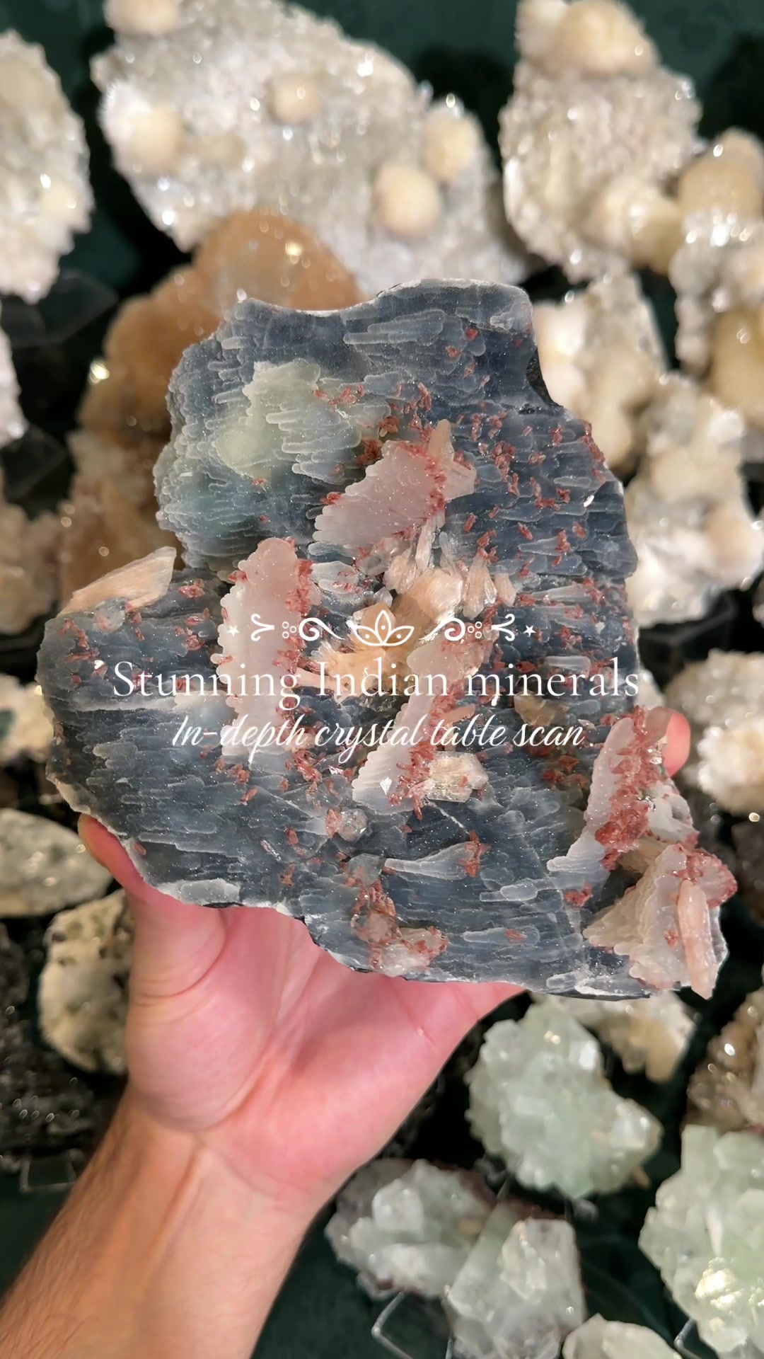 @Ettores Gems
