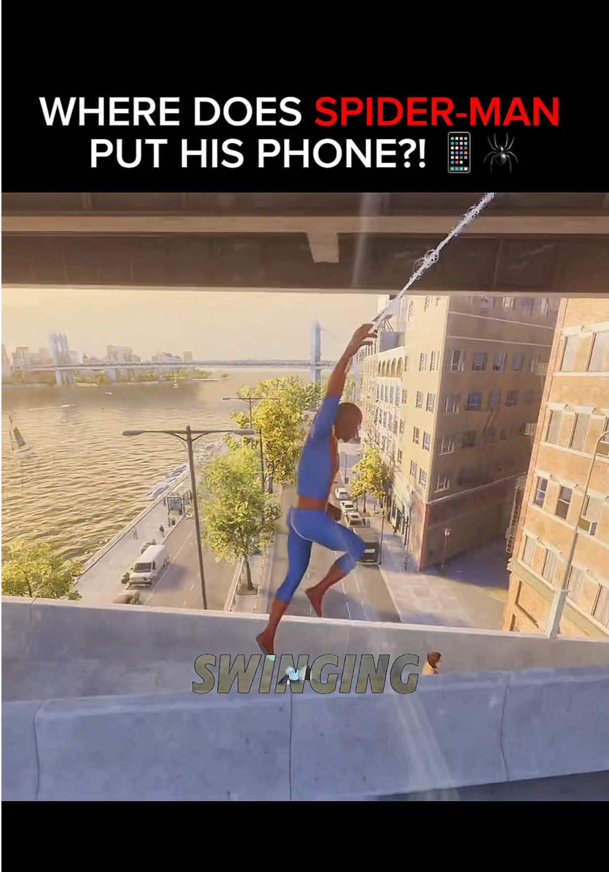 @Spidey Shorts
