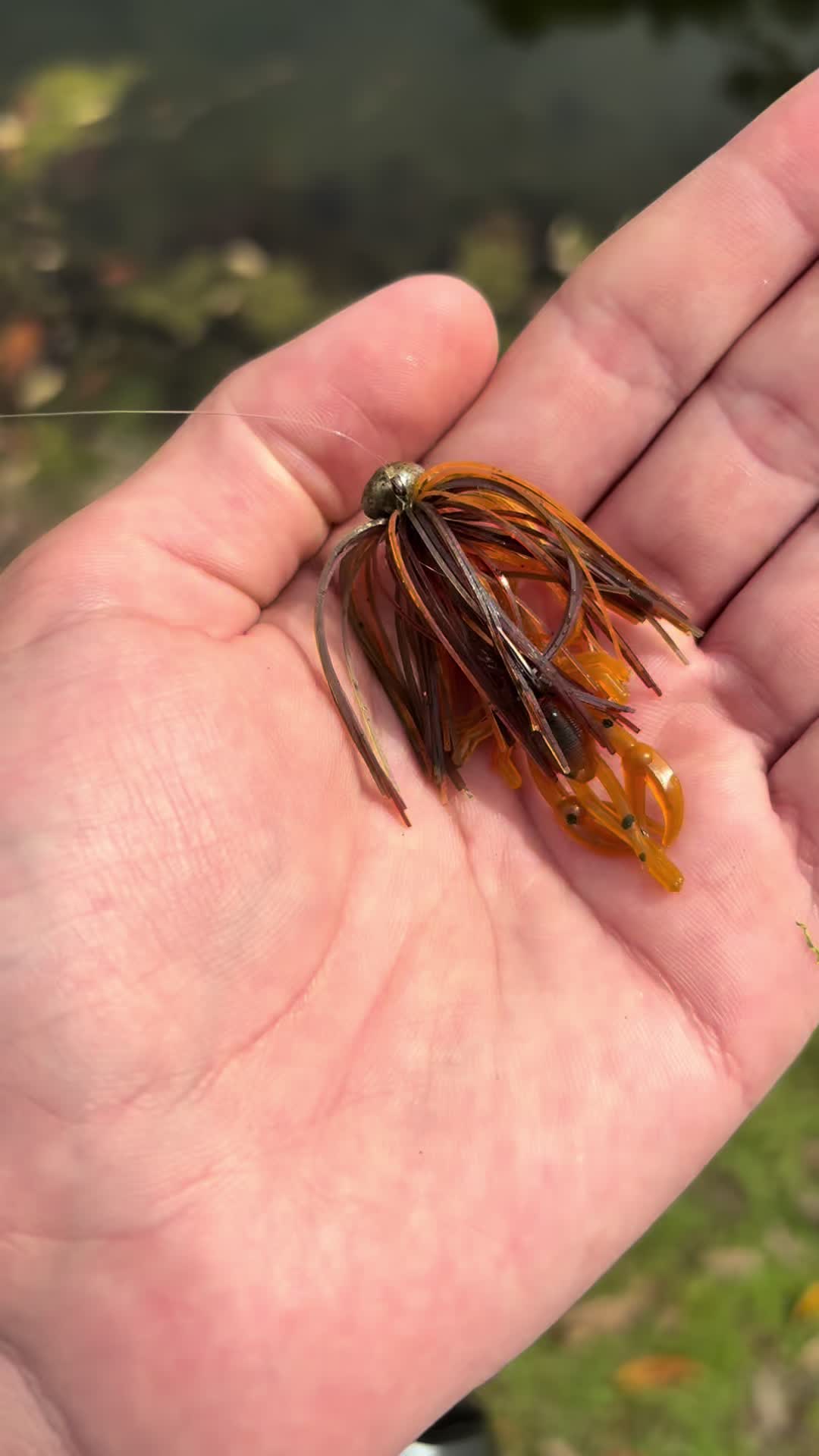 @WHKfishing
