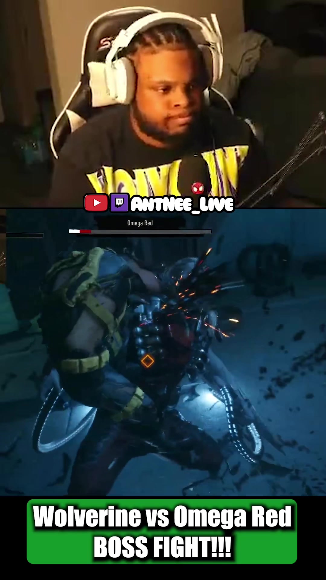 @AntNee Live
