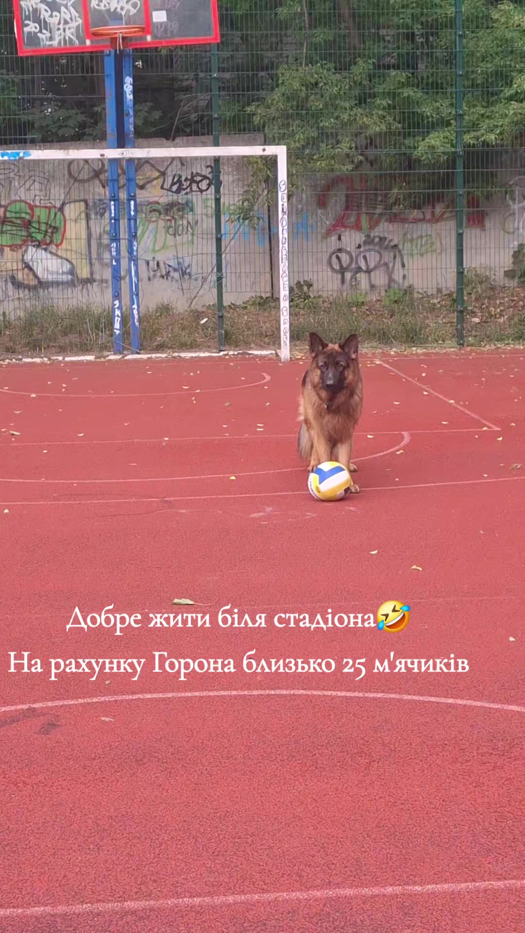 @МАТЬ ДРАКОНІВ🤣