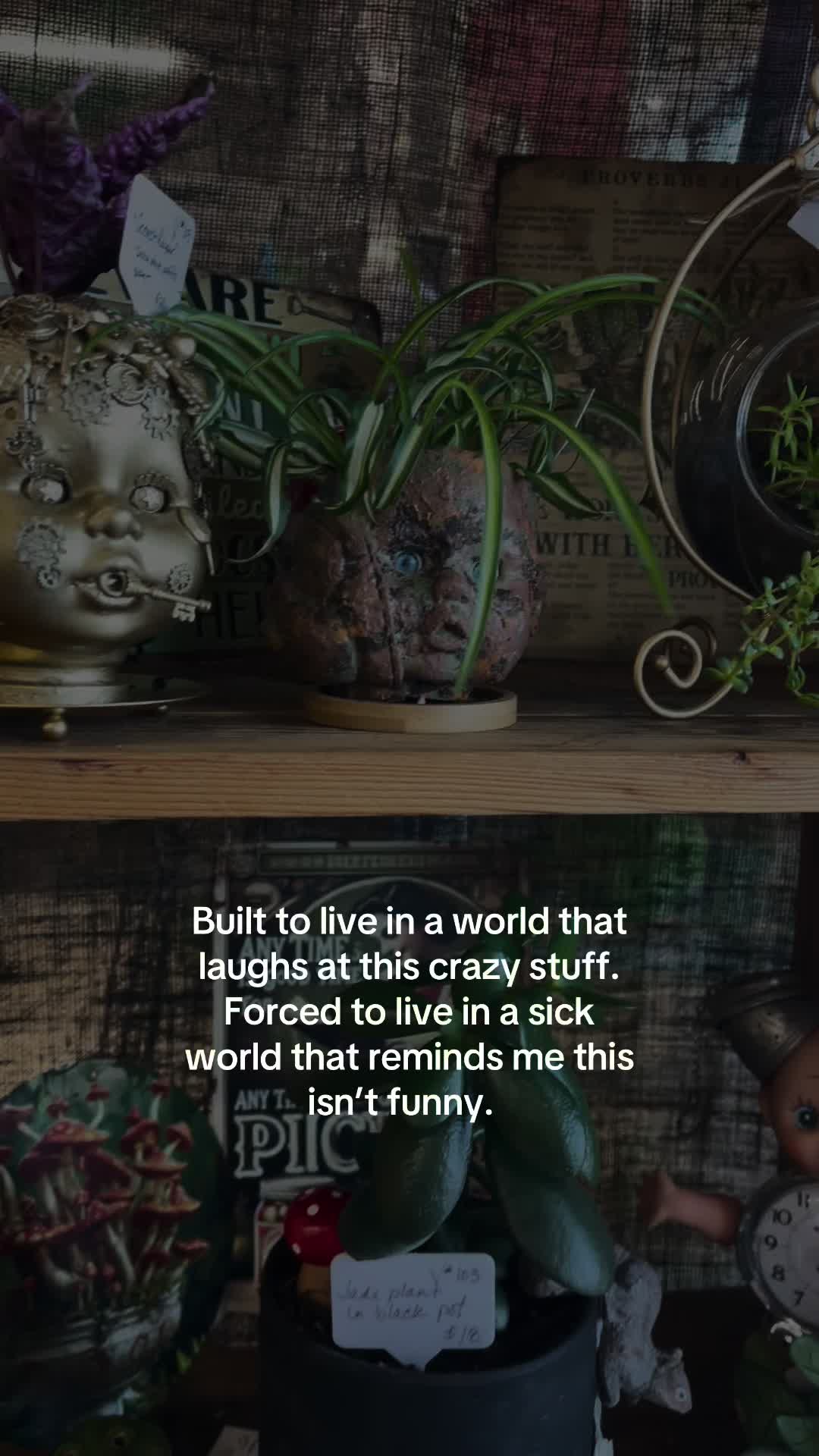 @dangmichelleiscool