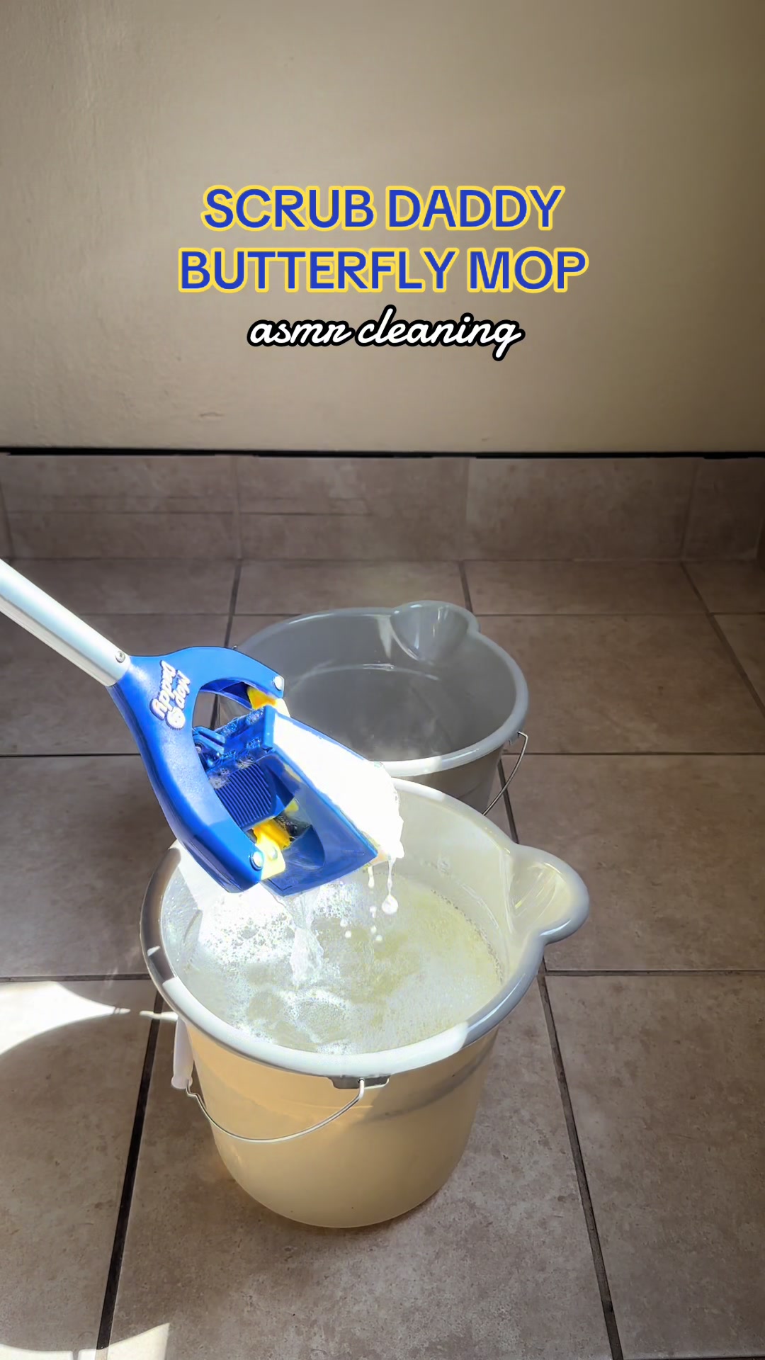 @SueCleansIt